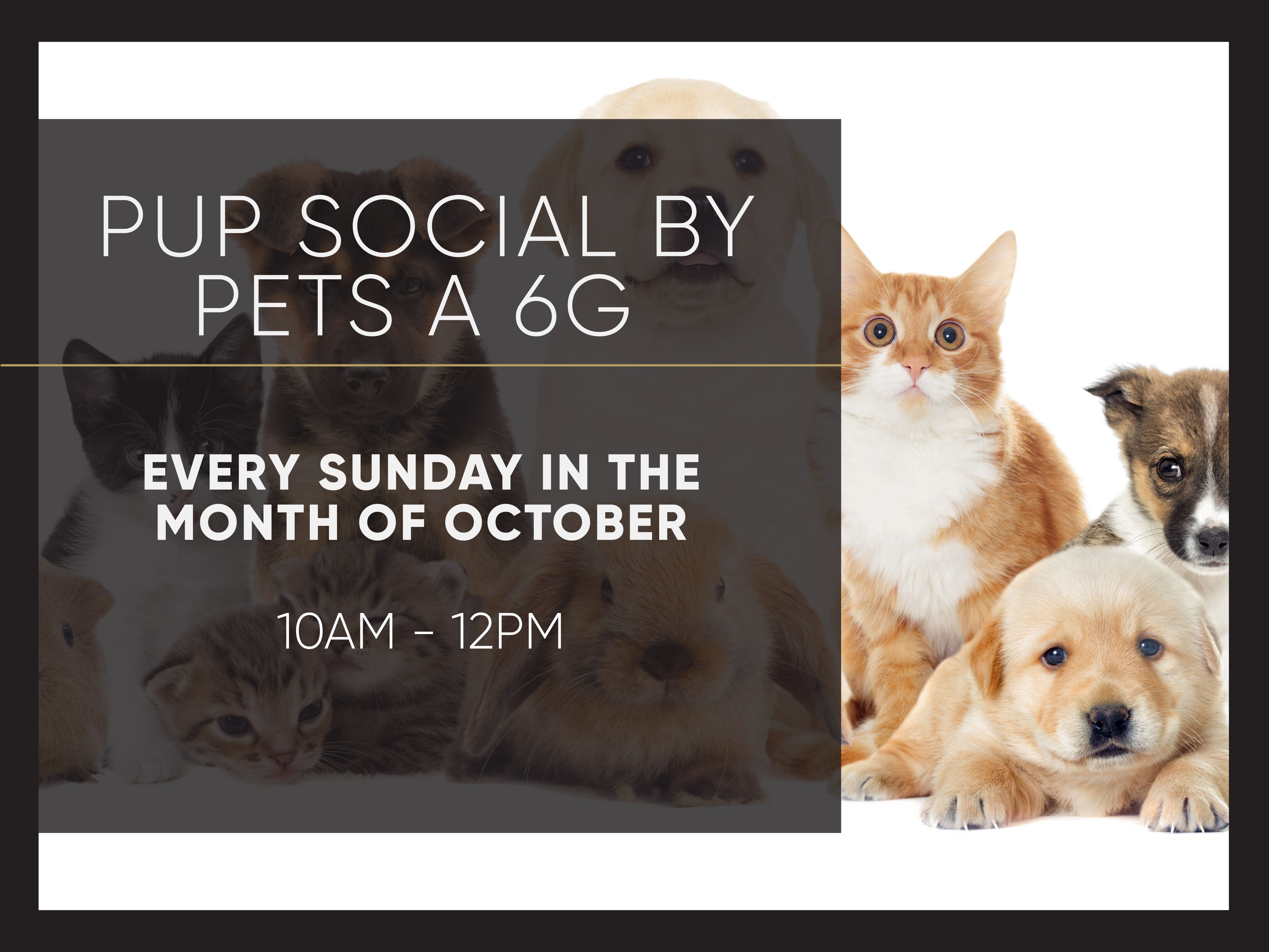 Upcoming Events Image 3 Upcoming Events Image 3